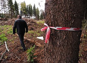 Новая редакция обвинения