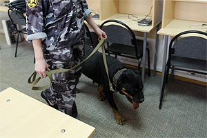 МГУ "заминировали"