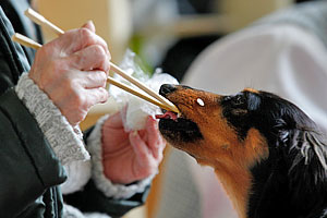 Почему у нас все так. Вернее, не так