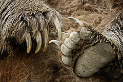 Это просто жизнь