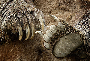 Это просто жизнь