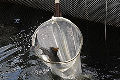 Это просто жизнь