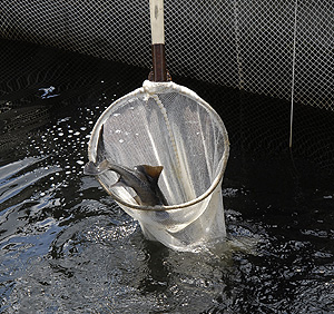 Это просто жизнь