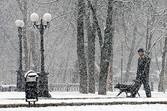 Москва: сюрпризы погоды