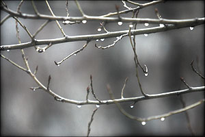 Москва между плюсом и минусом