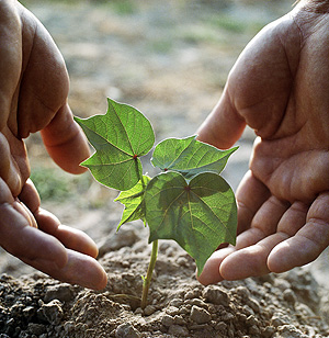 Сценарий умеренного роста экономики