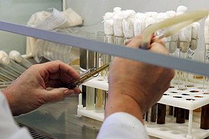 Медведев оставил решение за собой