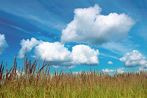 Премия "Хрустальная ноосфера"