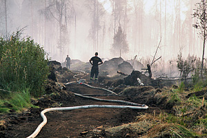 Кто пойдет через лес