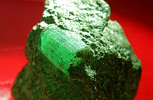 Минералы Миронова переезжают в Госдуму