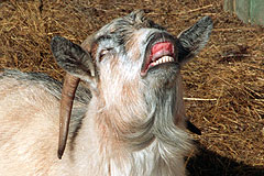 Это просто жизнь