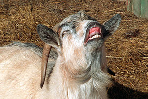 Это просто жизнь