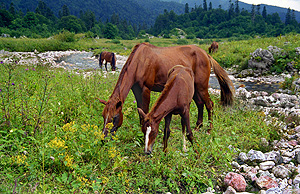 Самый чистый регион