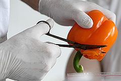 Четыре "овощных" условия