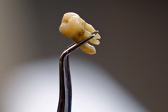 Это просто жизнь