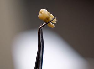 Это просто жизнь