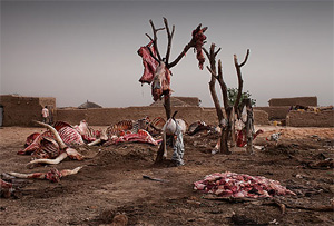 Мир так страшен, что это захватывает