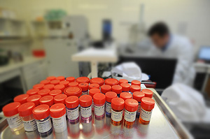 Законопроект о кастрации педофилов забракован