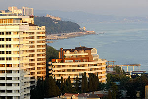 А не послать ли МФЦ в...Сочи