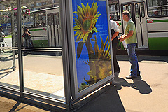 Километры выделенных полос