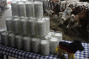 Немецкое молоко не устроило Россию