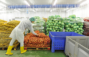 Овощей из Европы становится больше