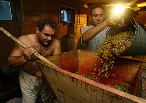 Грузинское вино становится ближе