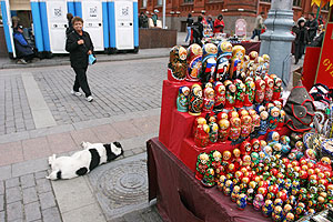 Все очень милые, но ничего непонятно