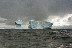 "Спарта" ждет спасения во льдах Антарктиды