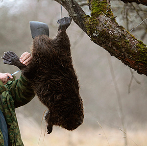 Это просто жизнь