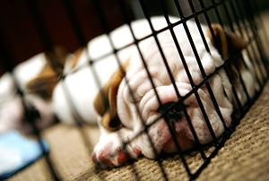 Это просто жизнь