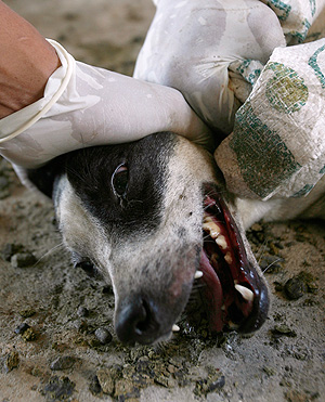 Это просто жизнь