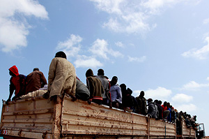 Для экономики полезны любые мигранты