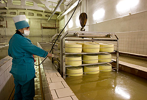 Предсказуемый сыр