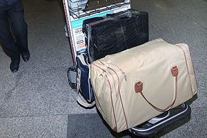 Сколько россиян хочет "свалить"?