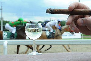 Роскошь в лошадиных силах