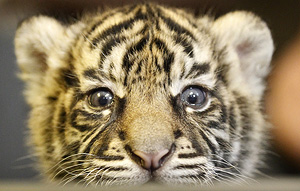 Это просто жизнь