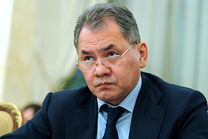 Шойгу утвердили единогласно