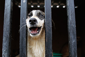 Это просто жизнь