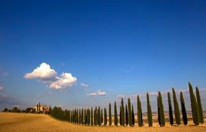 Депутаты обиделись до слез