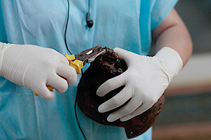 Это просто жизнь