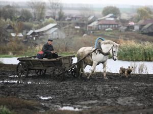 Плохо жить на свете русскому и венгру