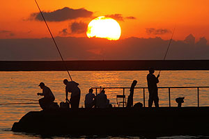 Пик активности на Солнце