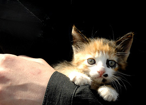 Это просто жизнь