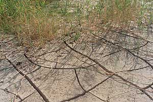 Аномальная жара