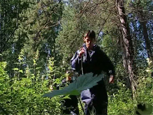 След Ан-2 оказался ложным