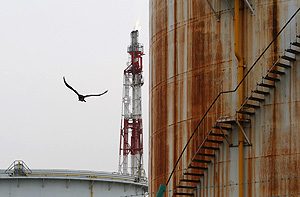 Санкции против Ирана пока бьют мимо цели