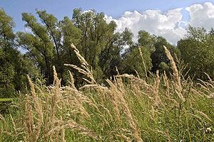 Шойгу требует земли назад