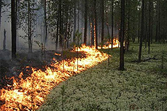 Пожары в Сибири: улучшения нет