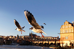 Чиновников оставят без иностранной собственности